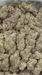 Purple Razzleberry Runtz