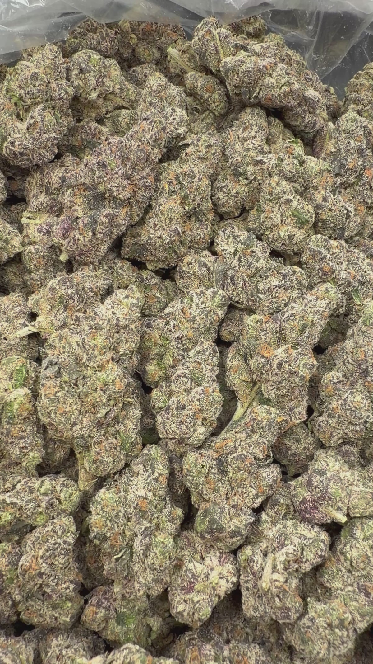Purple Razzleberry Runtz