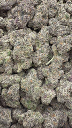 Purple Razzleberry Runtz