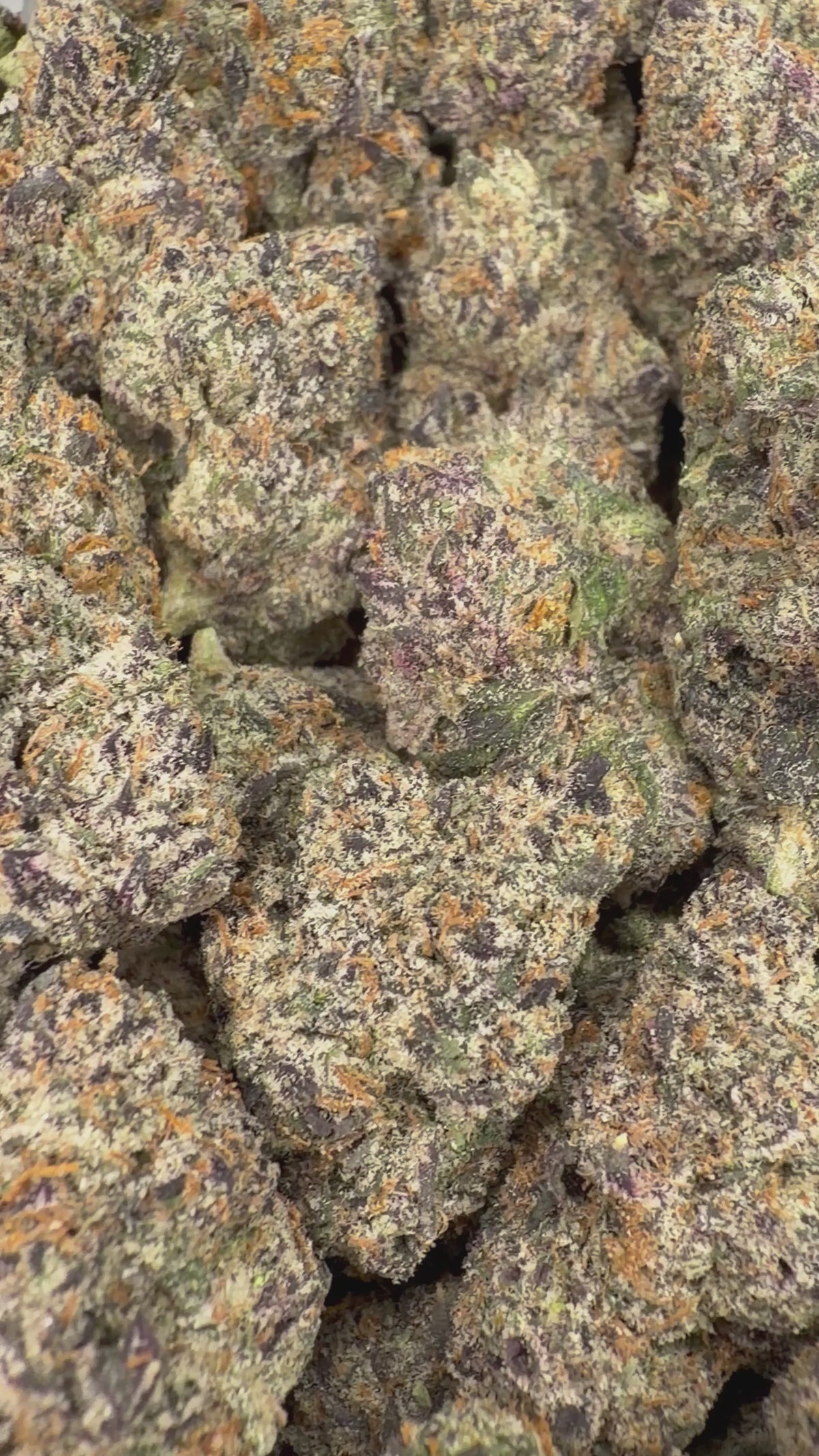 Galactic Runtz