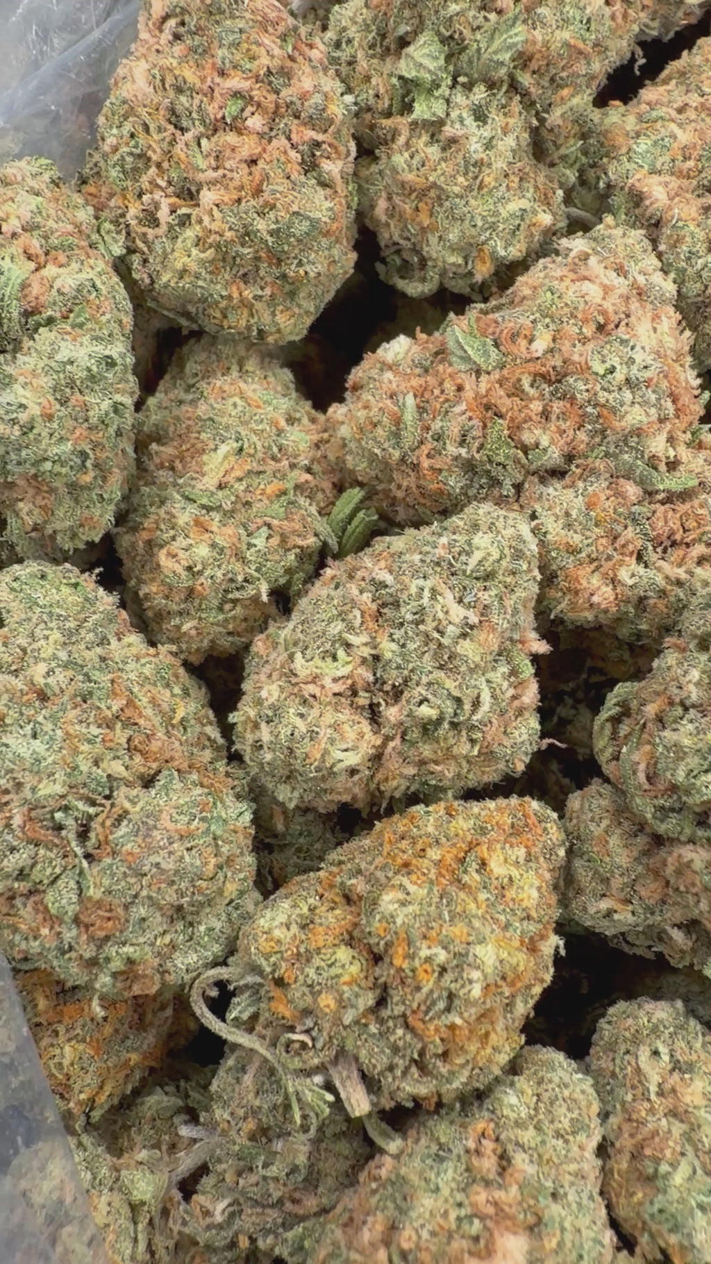 Mango Gelato