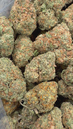 Mango Gelato