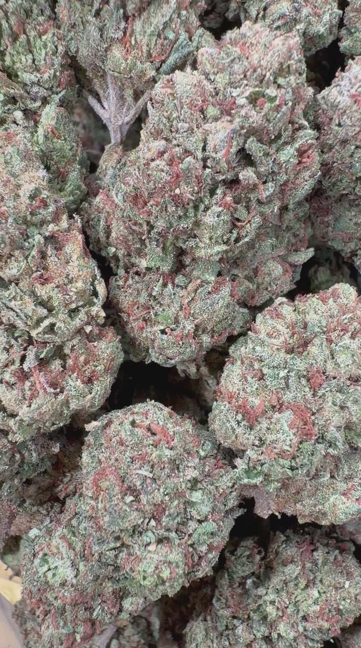 4oz Candy Gas