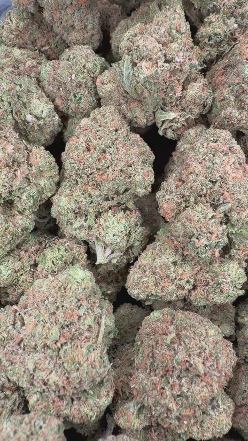 Gelato 47 (Room 2)