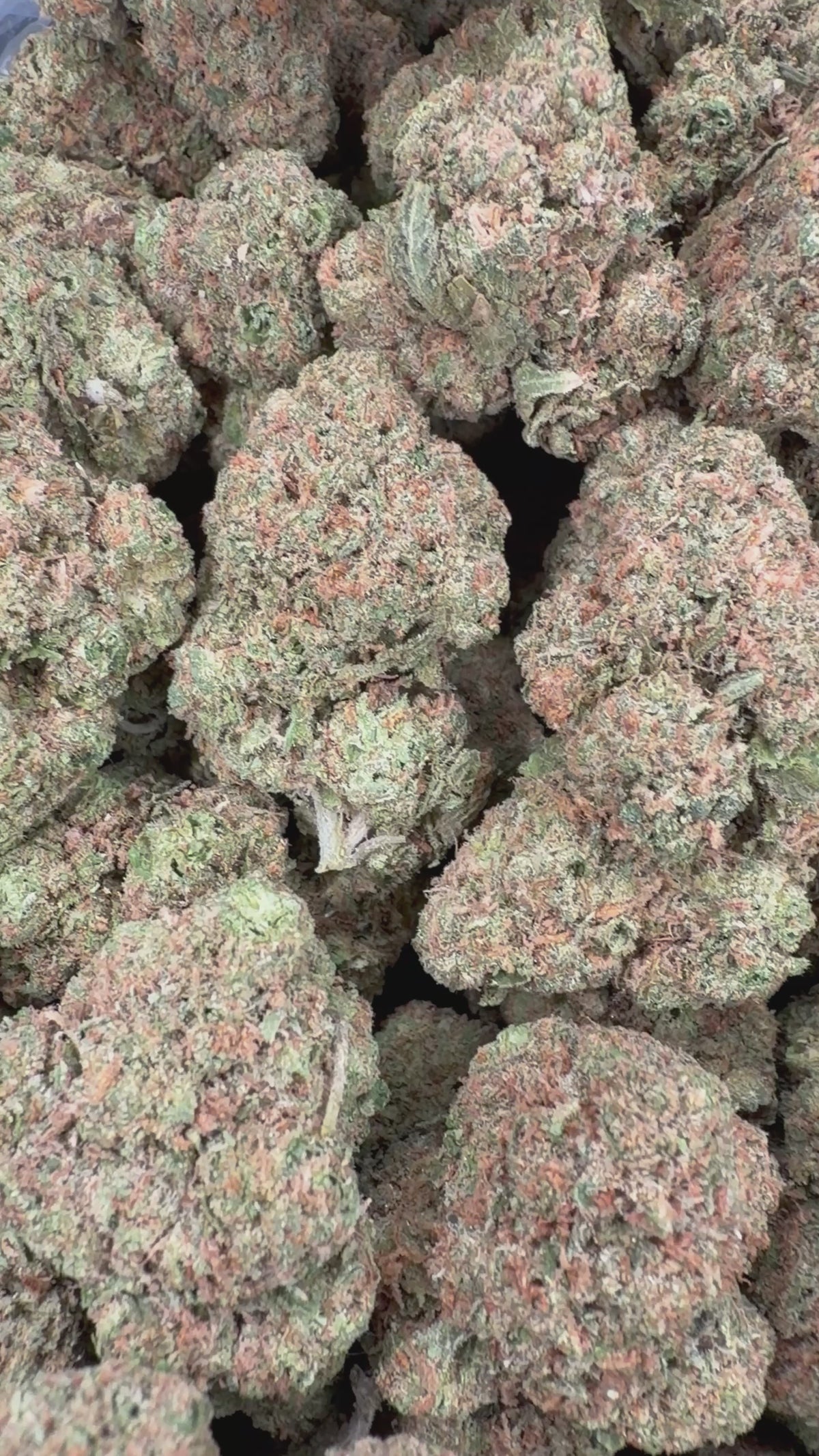 Gelato 47 (Room 2)