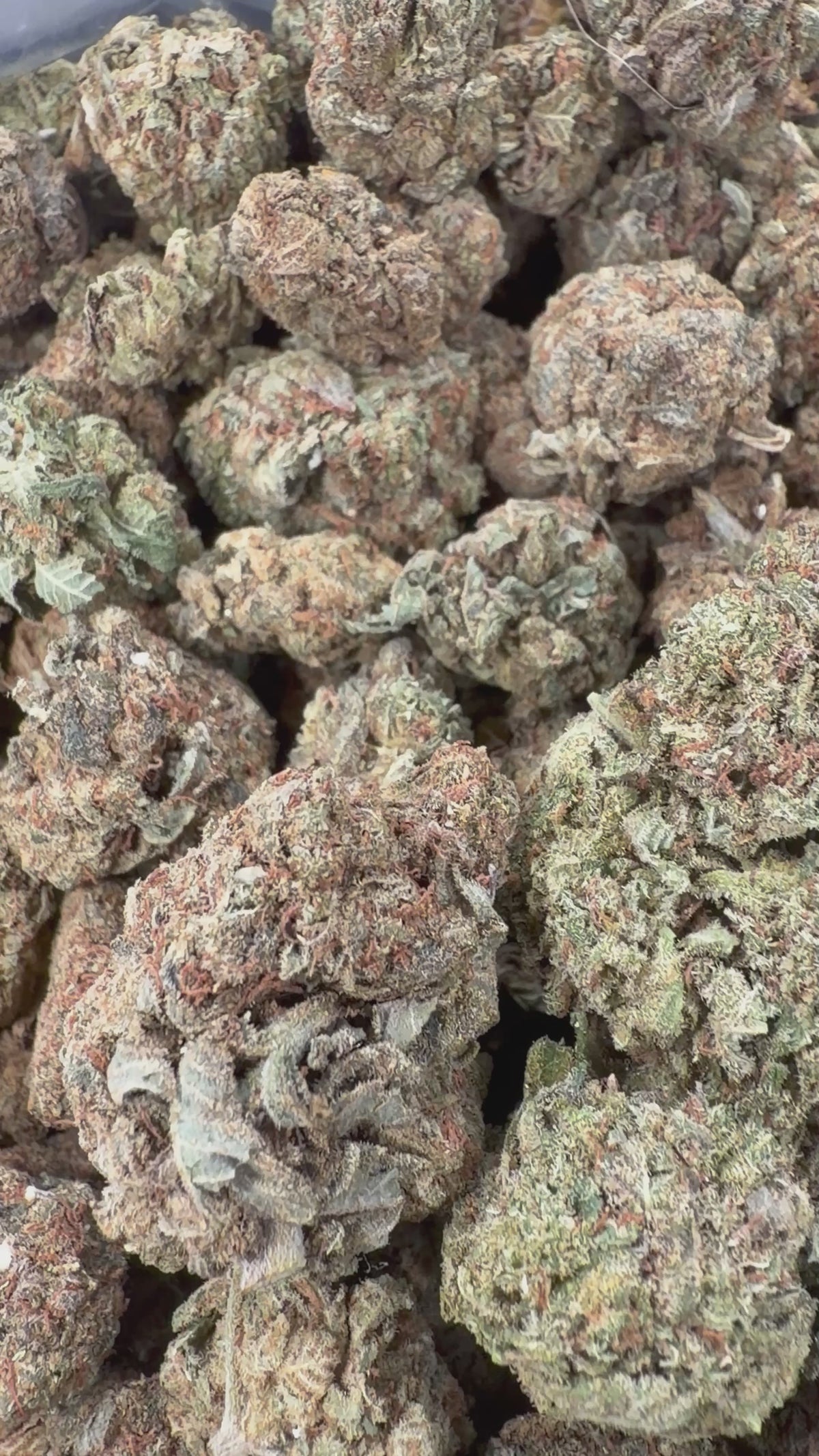 Platinum