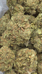 White Widow