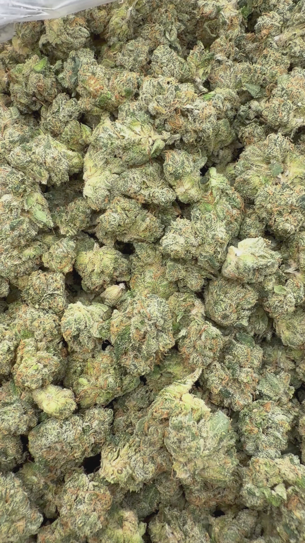 Kami Kush Smalls  - 64x 7G Jars