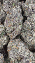 Rainbow Kotton Candy - 64x 7G Jars