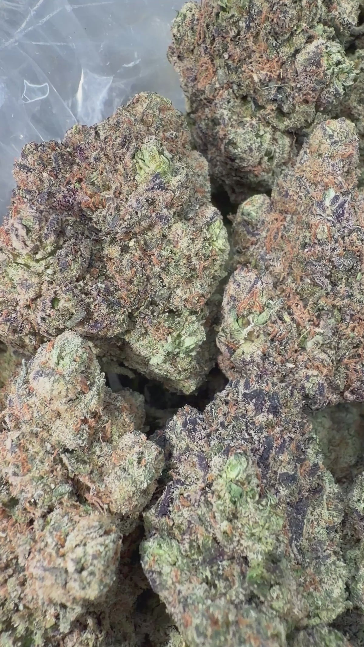 Sunset Sherbet